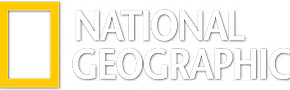 Logo #1